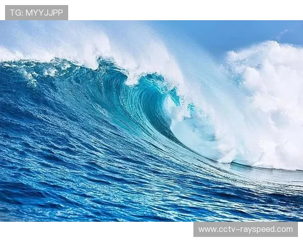 游泳题材纪录片《浪花之下》入围国际电影节,记录运动员成长