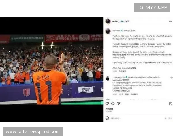 汉堡球迷在暴雪中的坚守:升班马的精神力量